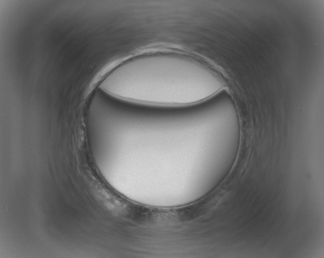 X0000081351363200701111055