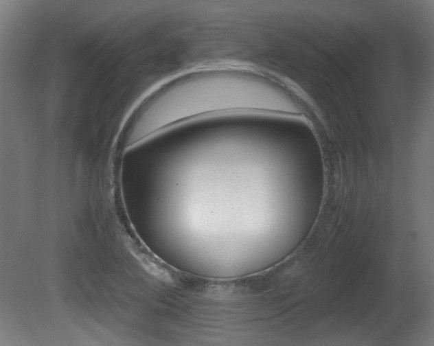 X0000081351364200701111055