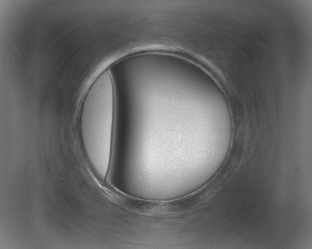 X0000081351367200701111055