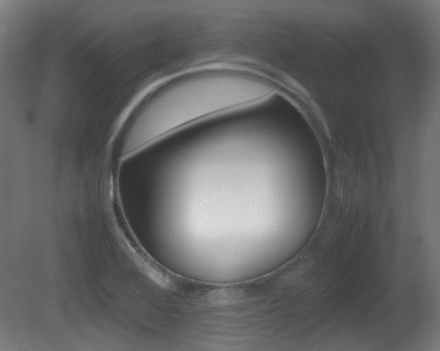 X0000081351368200701111055