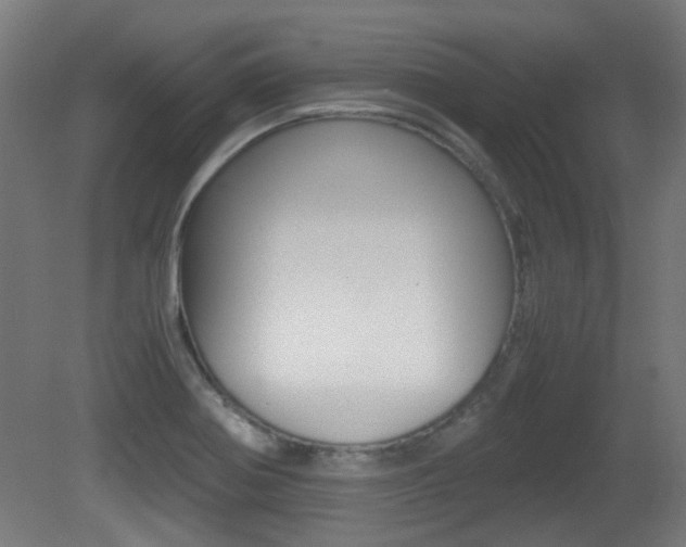 X0000081351370200701111055