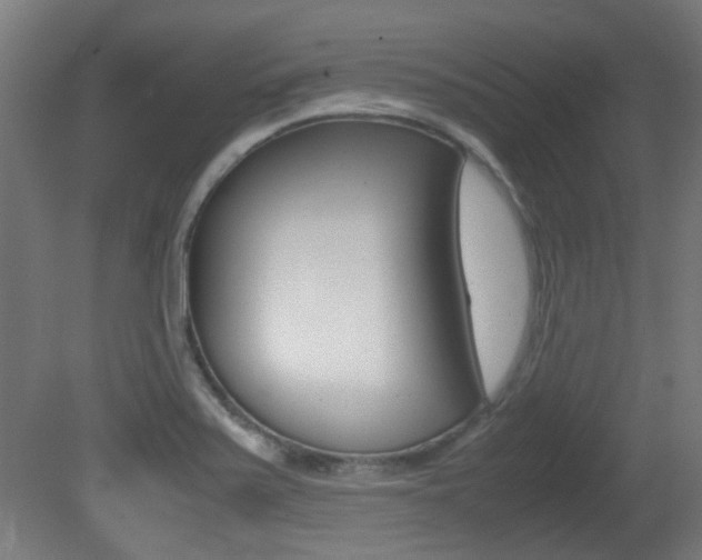 X0000081351371200701111055