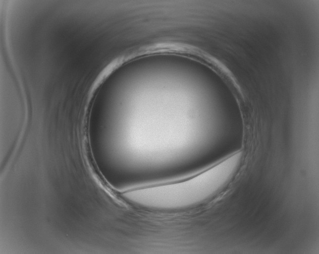 X0000081351373200701111055