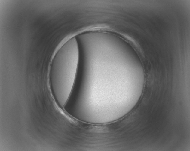 X0000081351374200701111055