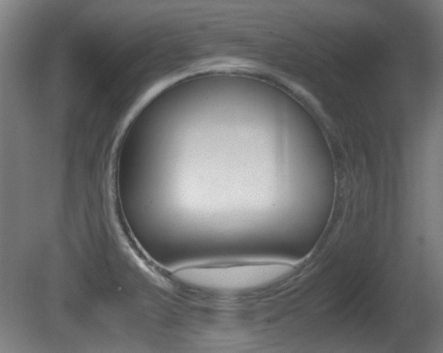 X0000081351375200701111054