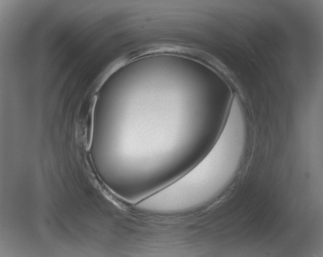 X0000081351377200701111054