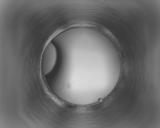 X0000081351378200701111054