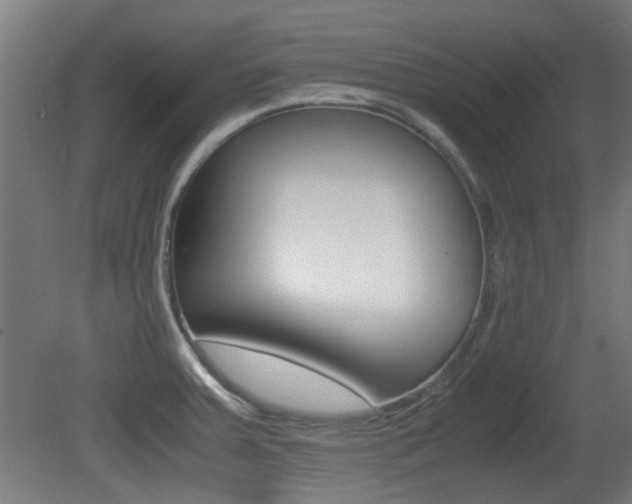 X0000081351379200701111054