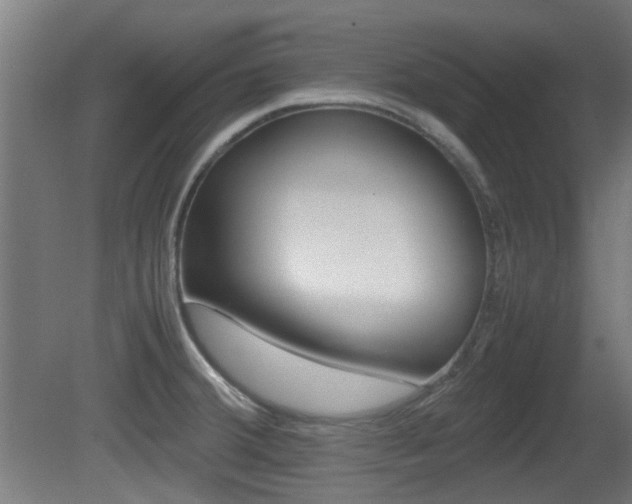 X0000081351380200701111054