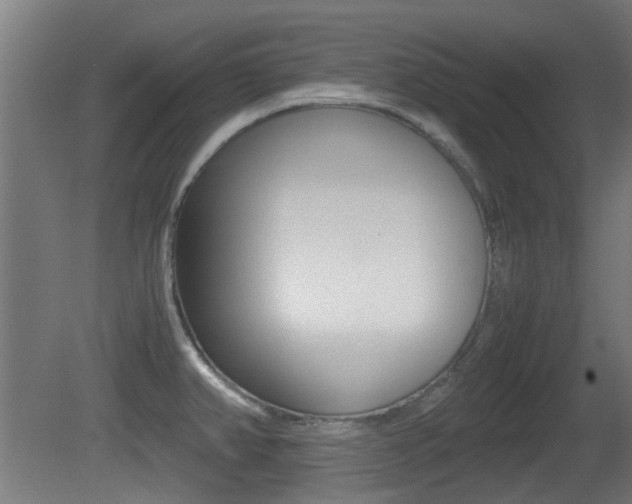 X0000081351382200701111054