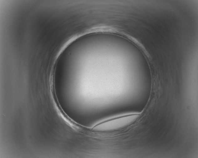 X0000081351383200701111054