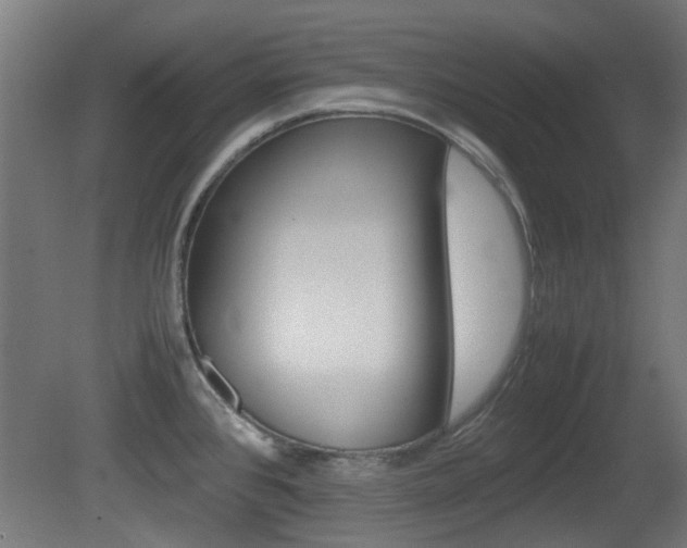 X0000081351384200701111054