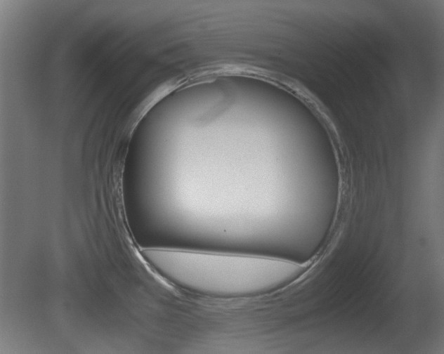 X0000081351385200701111054