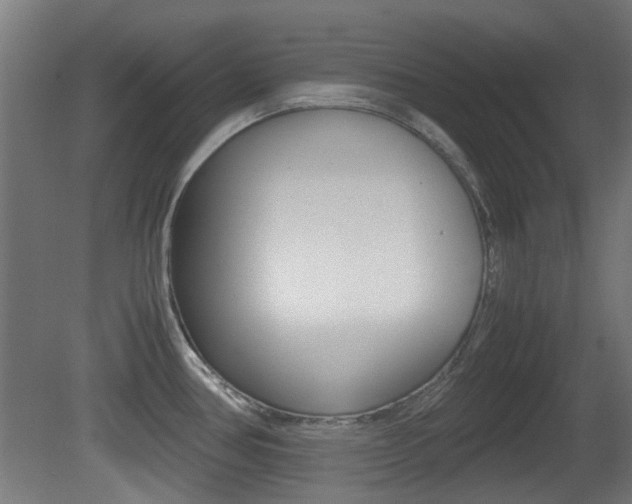 X0000081351386200701111054