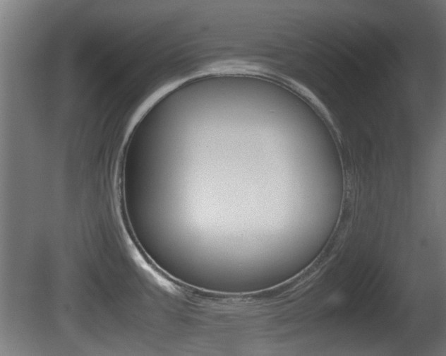 X0000081351387200701111054
