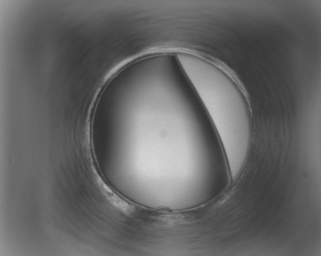 X0000081351388200701111054