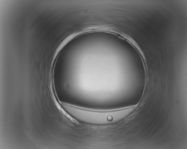 X0000081351389200701111054