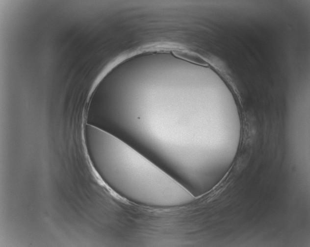 X0000081351390200701111054