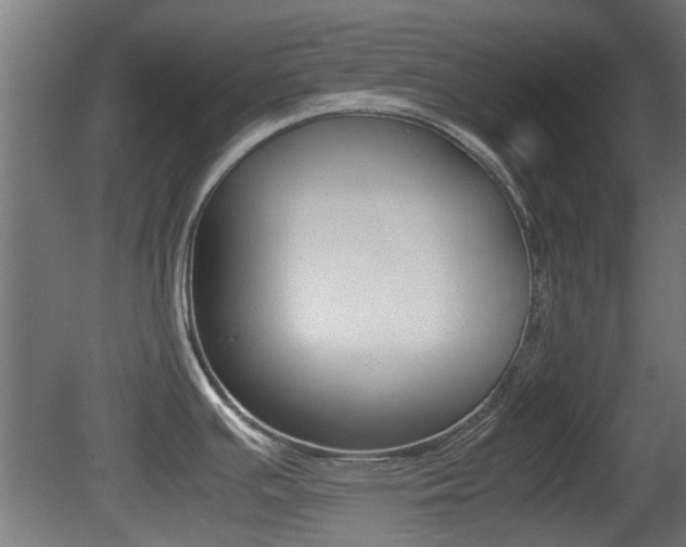 X0000081351391200701111054