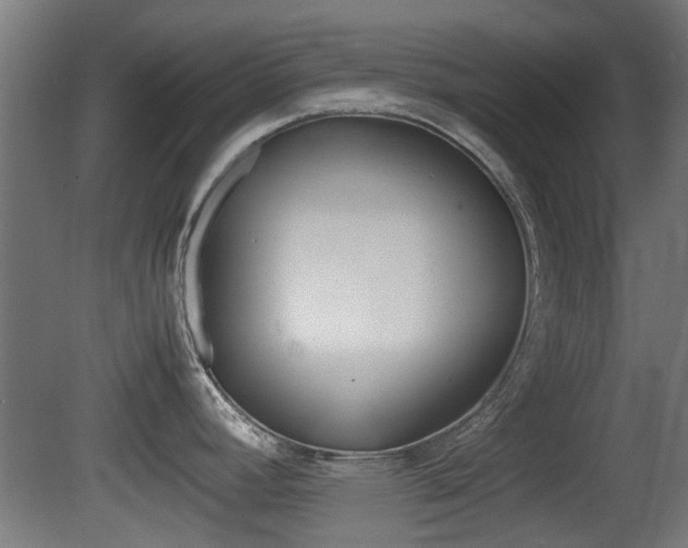 X0000081351392200701111054