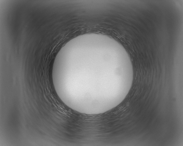 X0000081351393200701111053