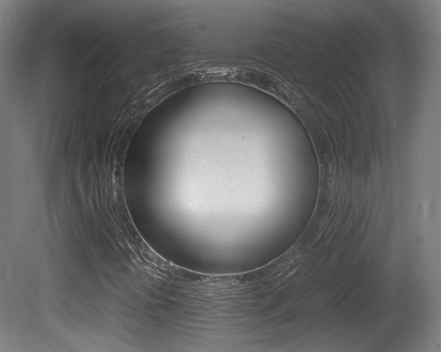 X0000081351394200701111053