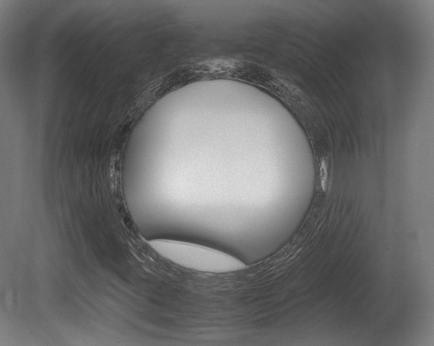 X0000081351395200701111053