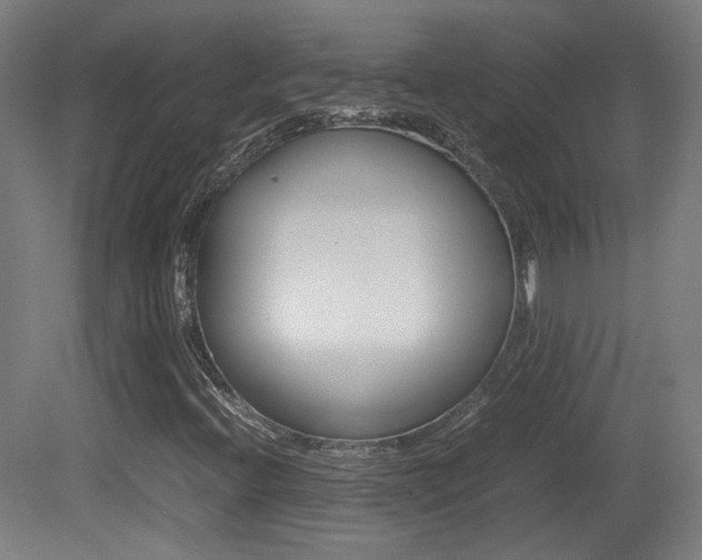 X0000081351396200701111053