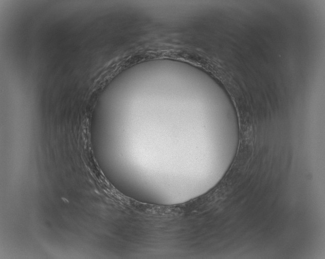 X0000081351397200701111053