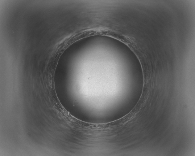 X0000081351398200701111053