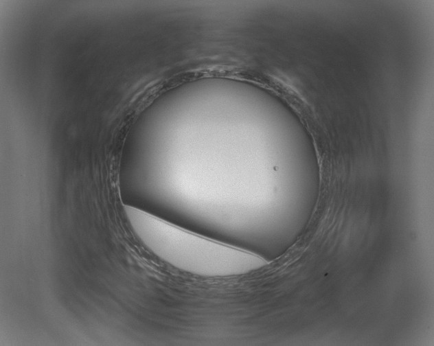 X0000081351399200701111053