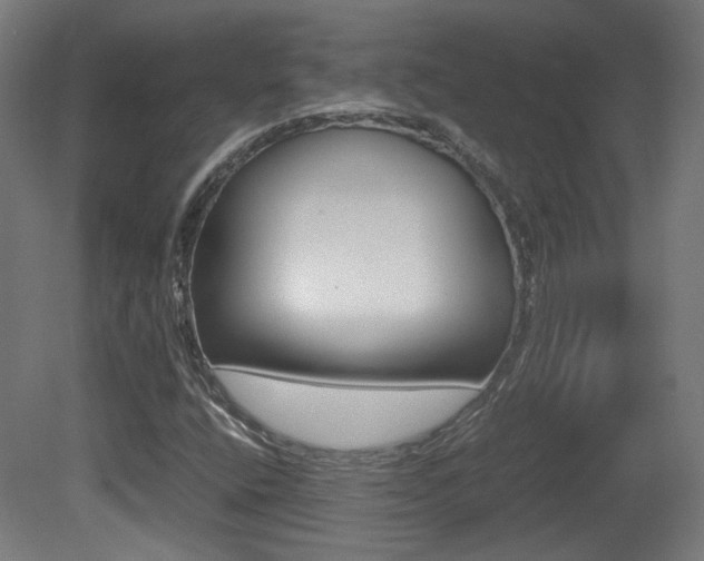 X0000081351400200701111054