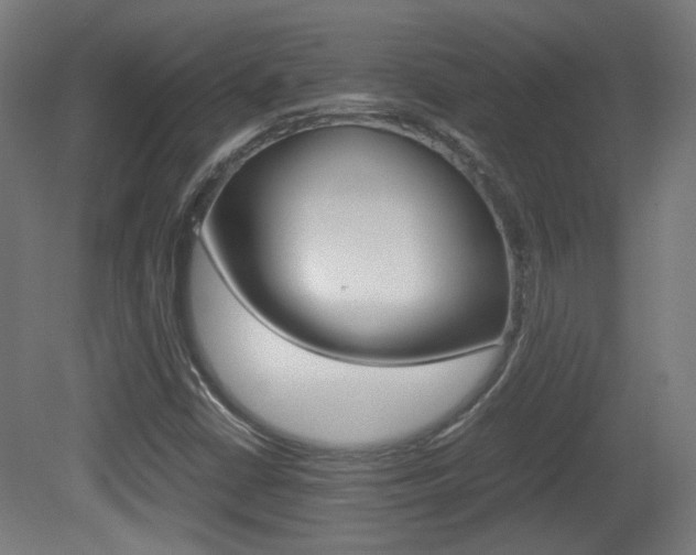 X0000081351402200701111054