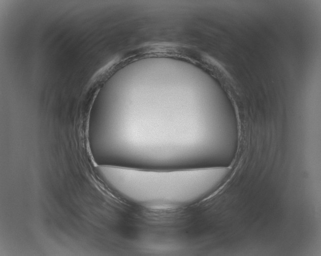 X0000081351403200701111054