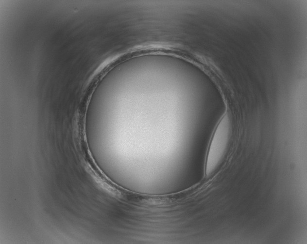 X0000081351404200701111054