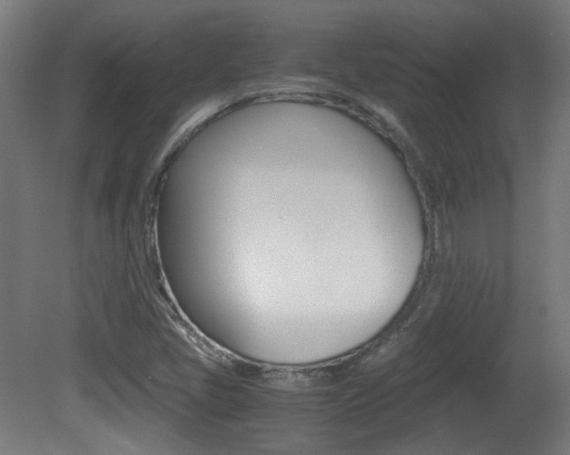 X0000081351405200701111054