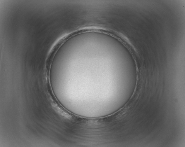 X0000081351408200701111054