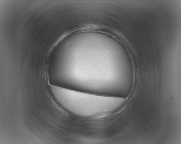 X0000081351409200701111054