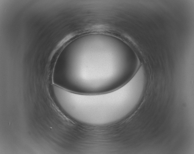 X0000081351410200701111054