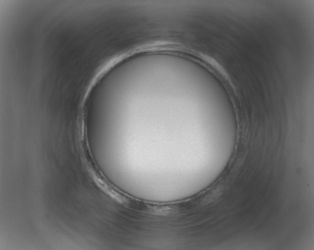 X0000081351413200701111054