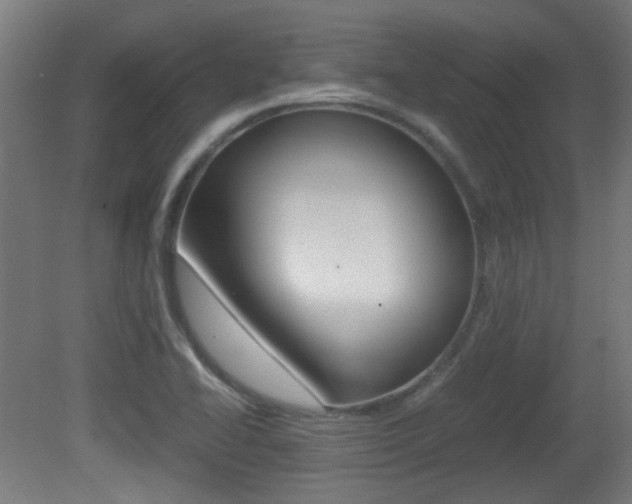 X0000081351414200701111054