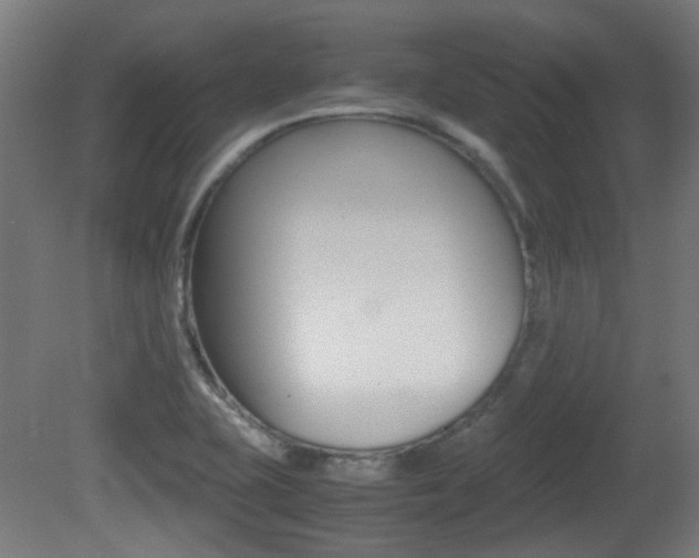 X0000081351415200701111054