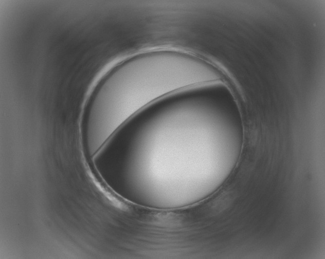 X0000081351416200701111054