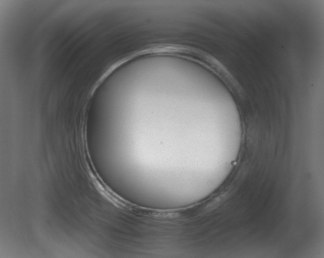 X0000081351417200701111054