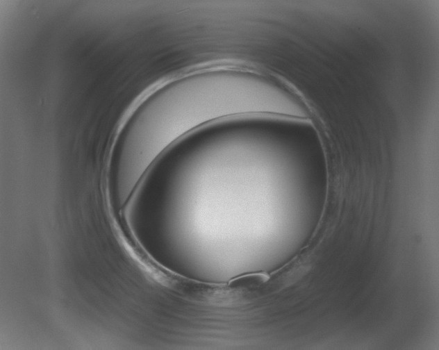X0000081351418200701111054