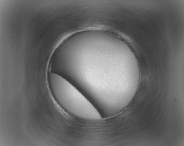 X0000081351423200701111054