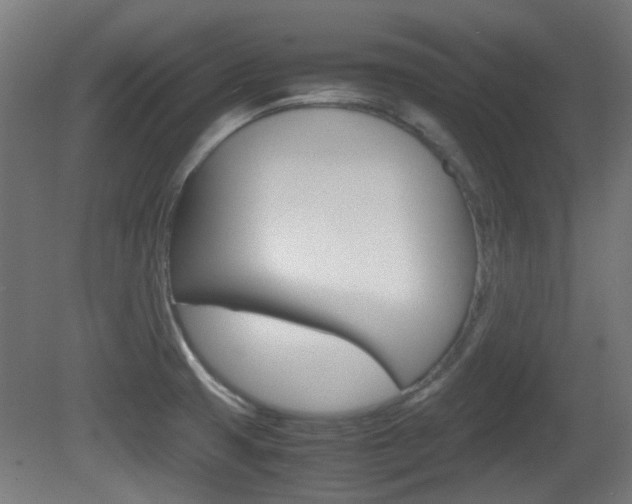 X0000081351425200701111054