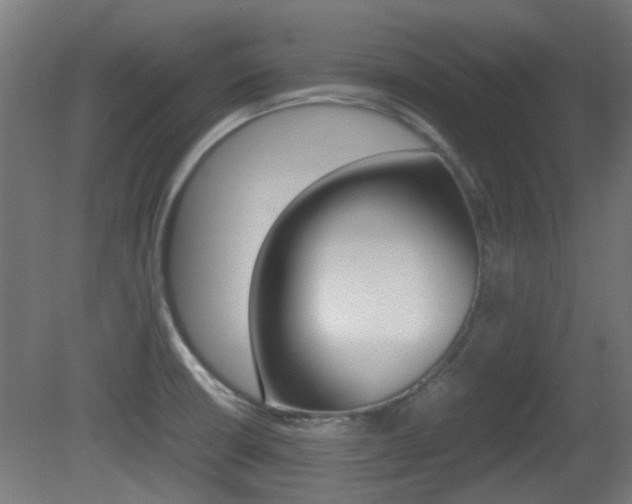 X0000081351426200701111054