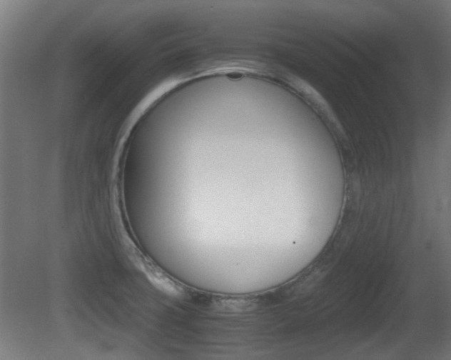 X0000081351427200701111054