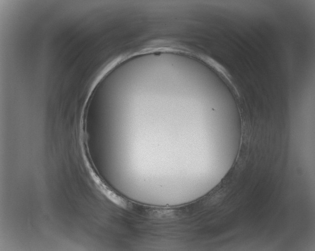 X0000081351431200701111054